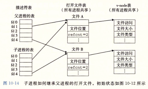 子进程如何继承父进程打开的文件