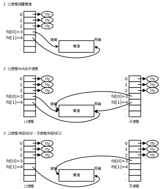 父子进程共享匿名管道